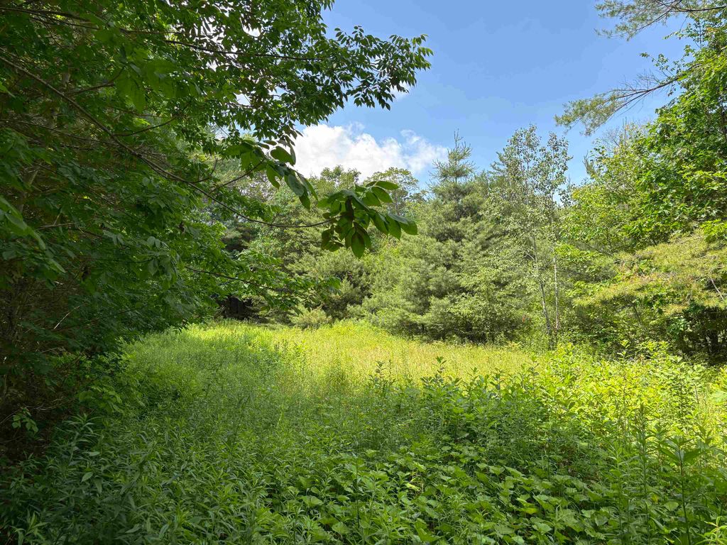 00 Simonsville Road Lot 3, Andover, VT 05143