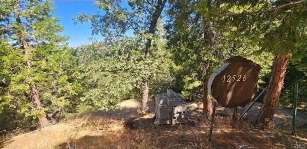 25126 Jewel, Crestline, CA 92325