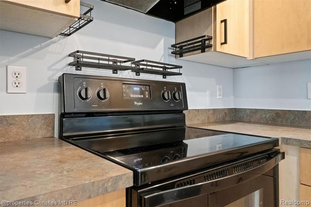 281 E Palmer Street 7, Detroit, MI 48202