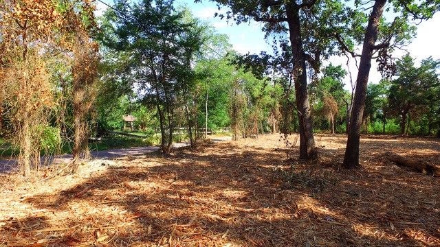 TBD Valentine, Denison, TX 75020