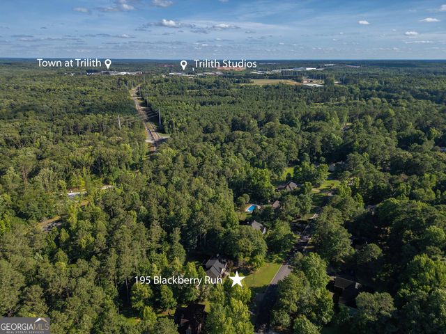 195 Blackberry Run, Fayetteville, GA 30214