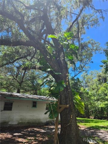 5211 S Court Avenue, Homosassa, FL 34448