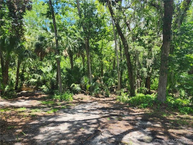 5211 S Court Avenue, Homosassa, FL 34448