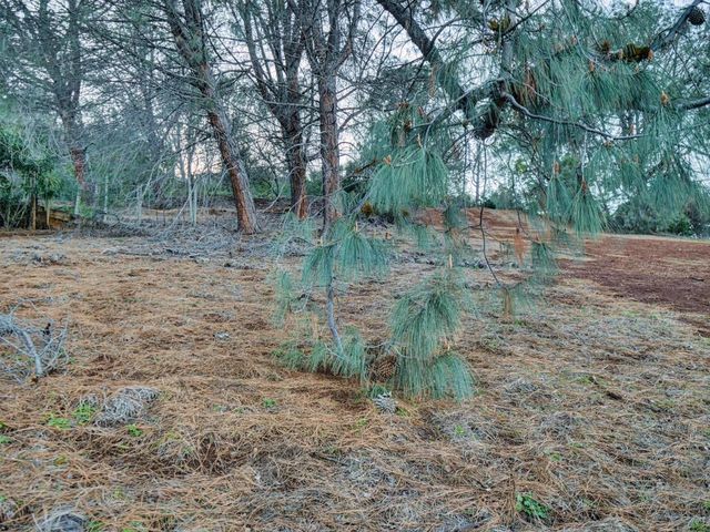 3223 S Lake Drive, Kelseyville, CA 95451