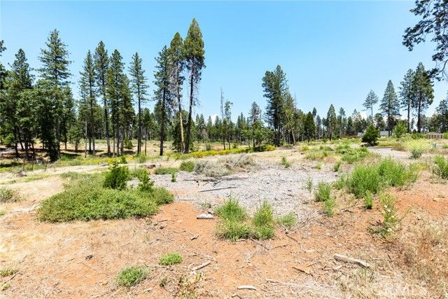 13771 Finch Court, Magalia, CA 95954