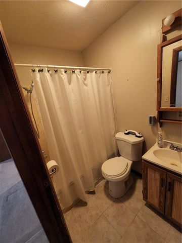 6722 Pheasant Ln, Bath, NY 14810