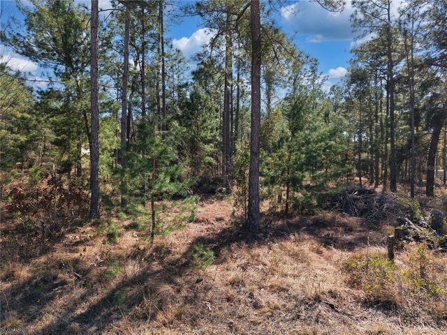 TBD 00 SE 6TH LANE, Williston, FL 32696
