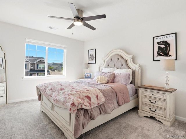 4510 Shady Path Ln, Castle Rock, CO 80104