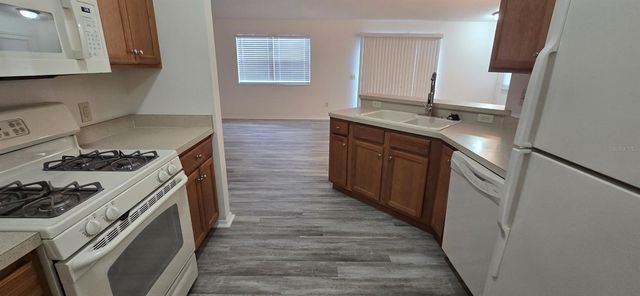 1009 RIDGEVILLE ROAD, The Villages, FL 32162