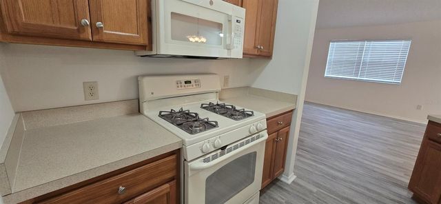 1009 RIDGEVILLE ROAD, The Villages, FL 32162