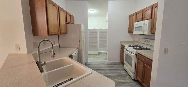 1009 RIDGEVILLE ROAD, The Villages, FL 32162