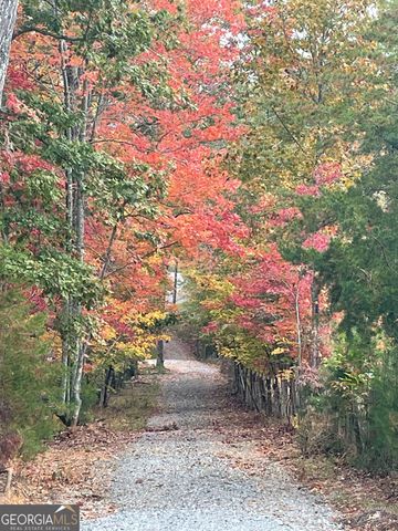 558 Tipton Springs Road, Morganton, GA 30560