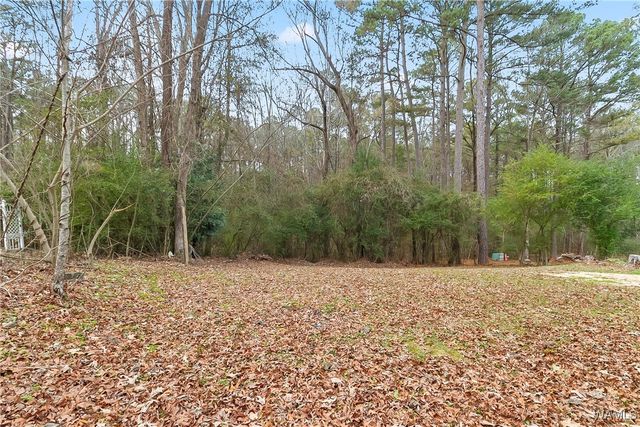 14014 Valley, Northport, AL 35475