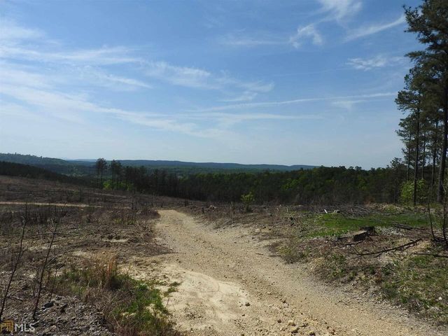 0 Griffin Road 5007-PARCEL 2, Cartersville, GA 30120