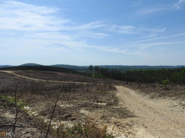 0 Griffin Road 5007-PARCEL 2, Cartersville, GA 30120
