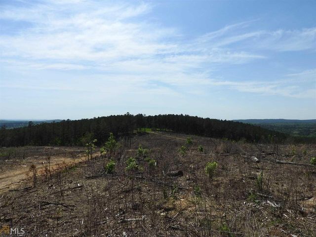 0 Griffin Road 5007-PARCEL 2, Cartersville, GA 30120