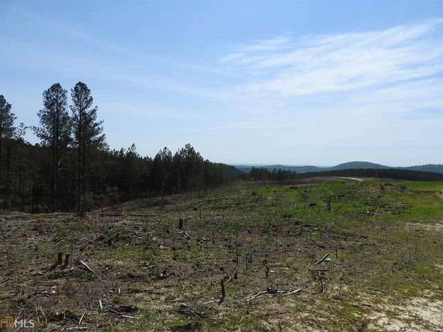 0 Griffin Road 5007-PARCEL 2, Cartersville, GA 30120