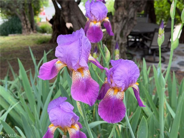 4986 7th Street, Mariposa, CA 95338