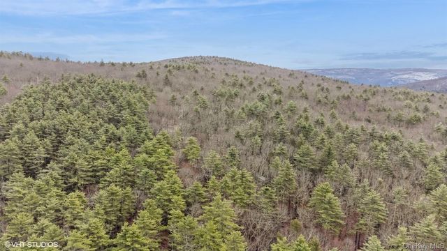 736 State Route 55, Napanoch, NY 12458