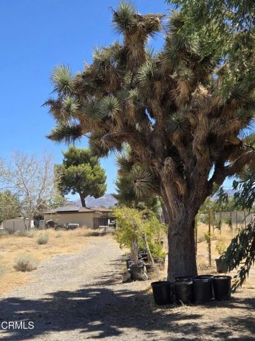 0 W Cor 12thw Avenue N-8, Palmdale, CA 93550