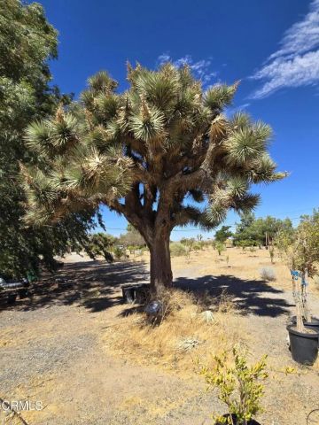 0 W Cor 12thw Avenue N-8, Palmdale, CA 93550