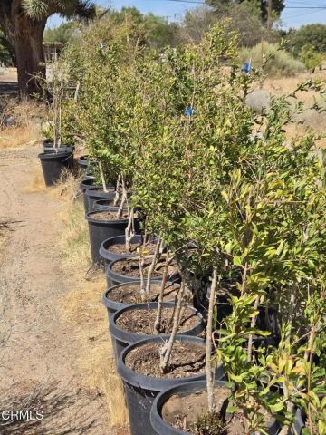 0 W Cor 12thw Avenue N-8, Palmdale, CA 93550