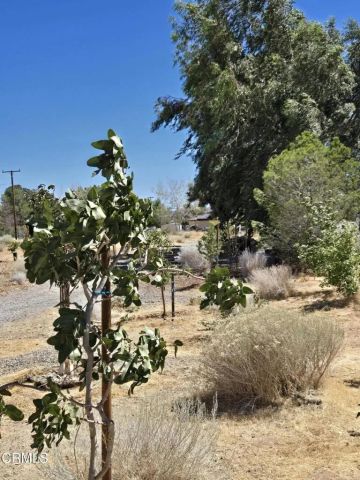 0 W Cor 12thw Avenue N-8, Palmdale, CA 93550