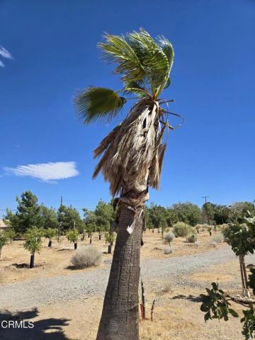 0 W Cor 12thw Avenue N-8, Palmdale, CA 93550