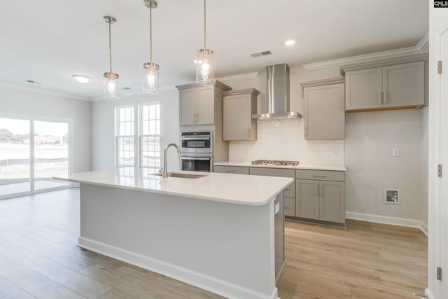 250 Horse Farm Place, Lexington, SC 29072