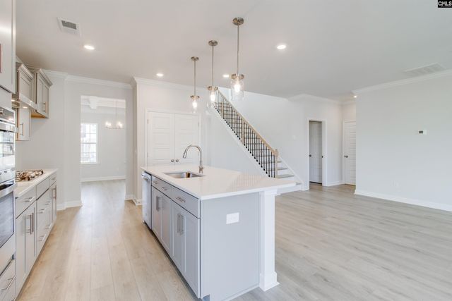 250 Horse Farm Place, Lexington, SC 29072