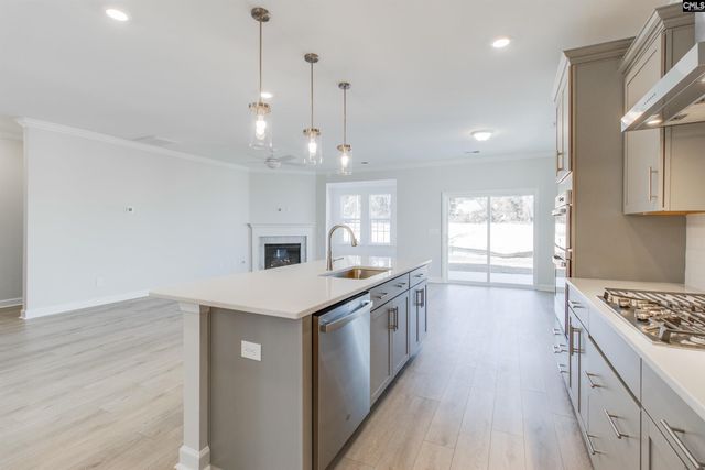 250 Horse Farm Place, Lexington, SC 29072