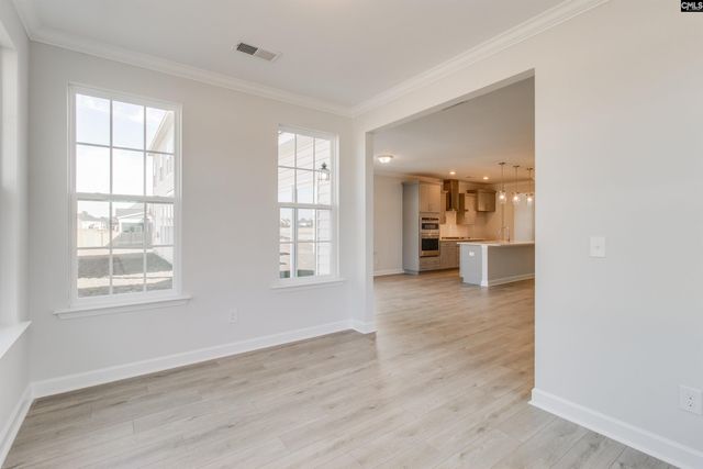 250 Horse Farm Place, Lexington, SC 29072