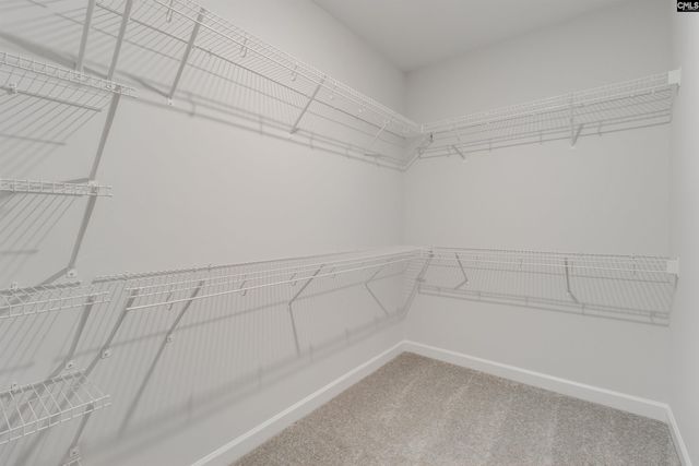 250 Horse Farm Place, Lexington, SC 29072