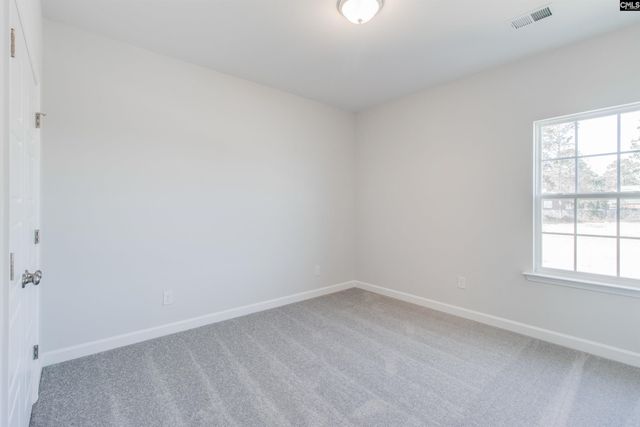 250 Horse Farm Place, Lexington, SC 29072