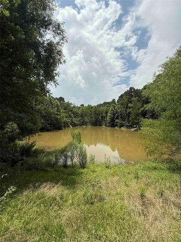 220 W Lake Shore Drive, Livingston, TX 77351