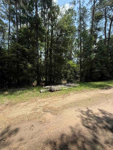 220 W Lake Shore Drive, Livingston, TX 77351