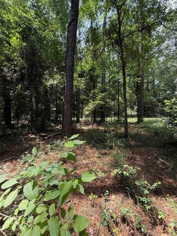 220 W Lake Shore Drive, Livingston, TX 77351