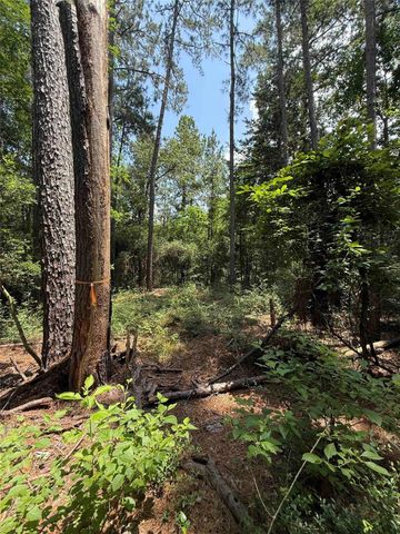 220 W Lake Shore Drive, Livingston, TX 77351