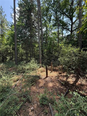 220 W Lake Shore Drive, Livingston, TX 77351