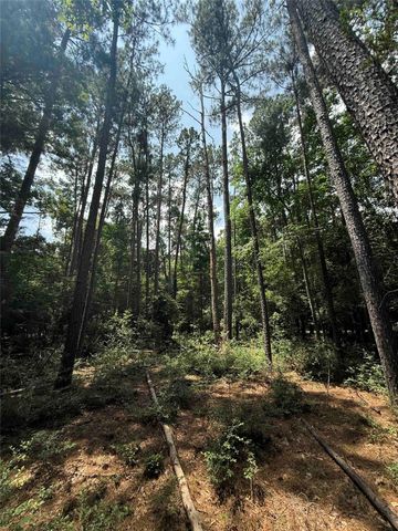 220 W Lake Shore Drive, Livingston, TX 77351