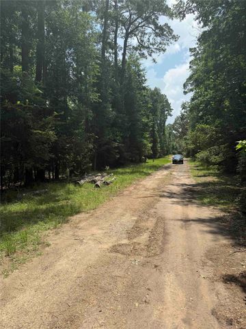 220 W Lake Shore Drive, Livingston, TX 77351