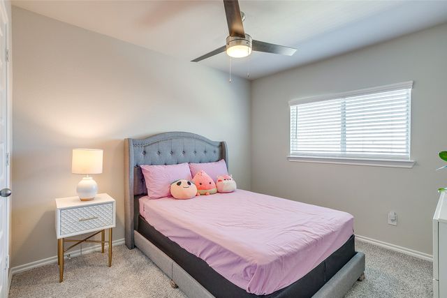 2928 Baneberry Lane, Mesquite, TX 75150