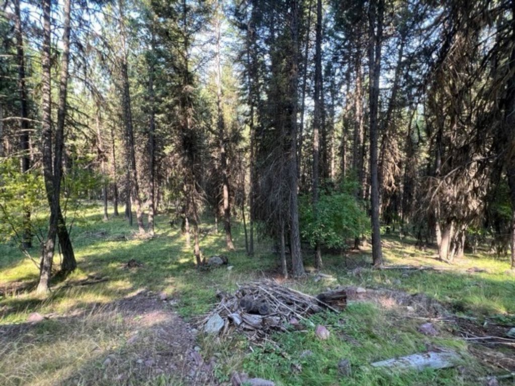 433 Stage Coach Drive, Seeley Lake, MT 59868 photo 3