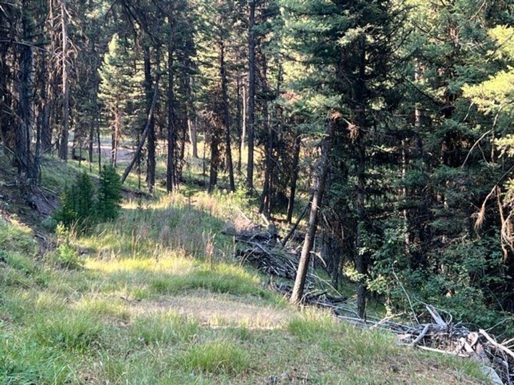 433 Stage Coach Drive, Seeley Lake, MT 59868 photo 4