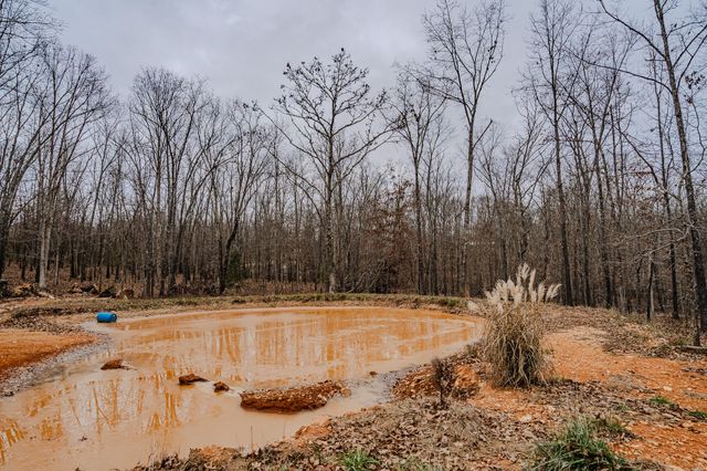 2291 Co Rd 2010, West Plains, MO 65775