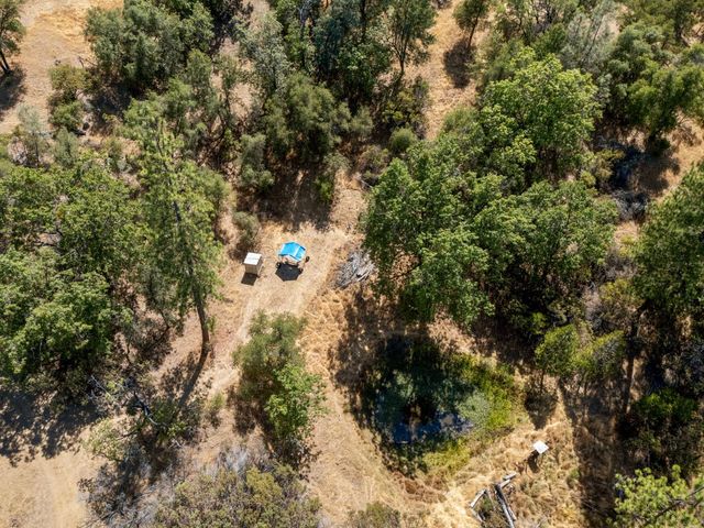 2004 Bruin Trl, Placerville, CA 95667