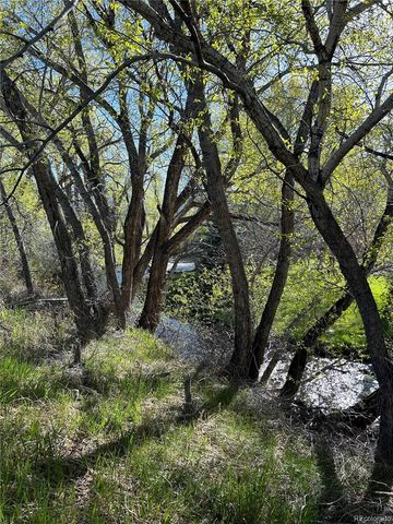 CR 361, Buena Vista, CO 81211