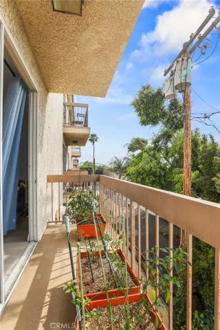 2263 Fox Hills Drive 203, Los Angeles, CA 90064