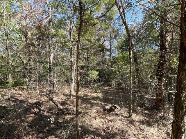Lot 165 Stonewall Drive, Streetman, TX 75859