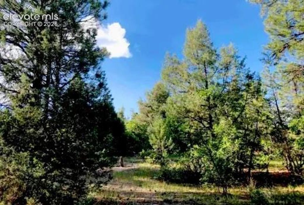 131 Retreat Court, Pagosa Springs, CO 81147 — photo 2